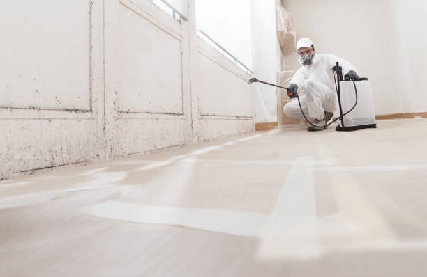 24/7 Emergency Mold Remediation experts in Bellaire, TX